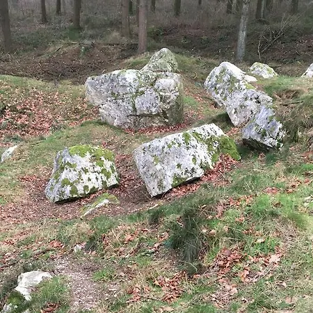 Holiday Les Mochettes La Roche-en-Ardenne